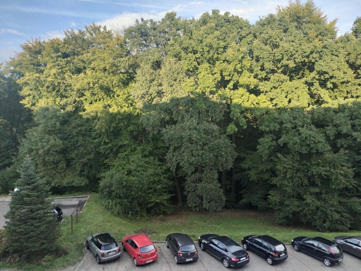 Nowoczesne Mieszkanie 63M2 Jastrzebie Zdroj Luaran gambar